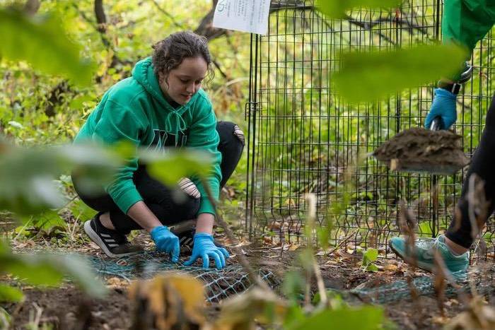Student working outdoors digging in the ground next to a fence.
