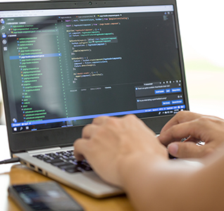 Software Developer