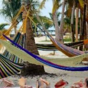 hammocks on a beach