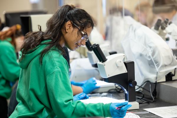 Faculty Research Mentors