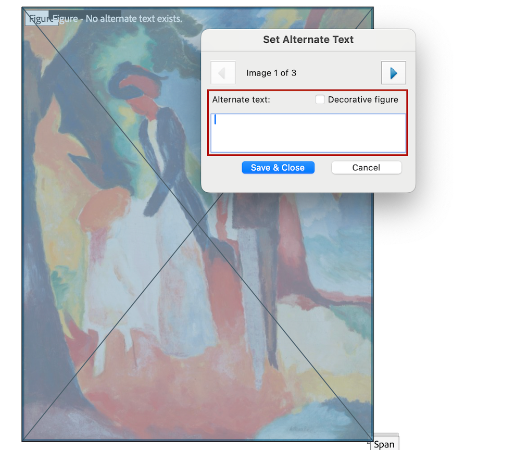 Add a clear description Screenshot of the text field box where you can enter alternative text.