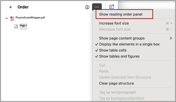 Show Reading Order panel option Screenshot of the show Reading Order panel option.