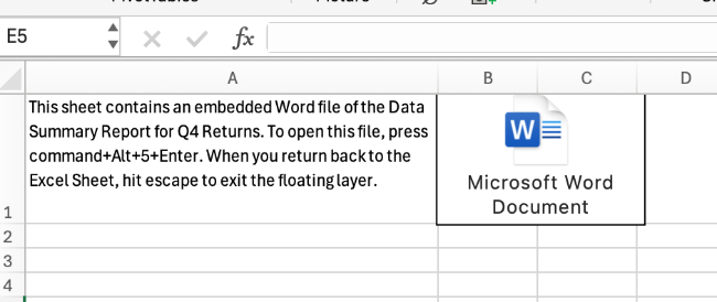 Embedded File Screenshot of an embedded file on a separate worksheet.