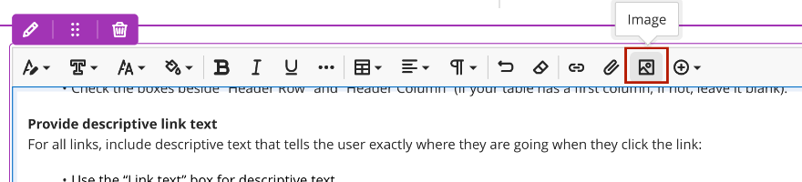 Image Button Screenshot of the Image option in the Bb Content Editor.