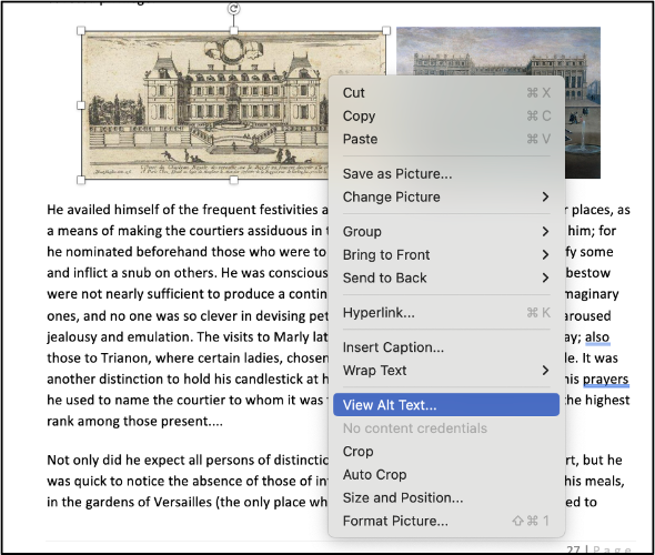 Screenshot of View Alternative Text option in Word.