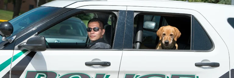 A police vehicle with a golden retriever in the passenger seat, indicating a K-9 unit operated by a DEA agent for search and rescue or substance detection