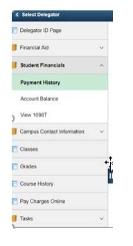 image showing where the proxy delegation is on screen