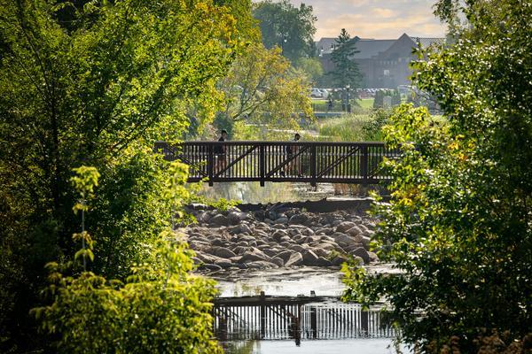 Information for Faculty