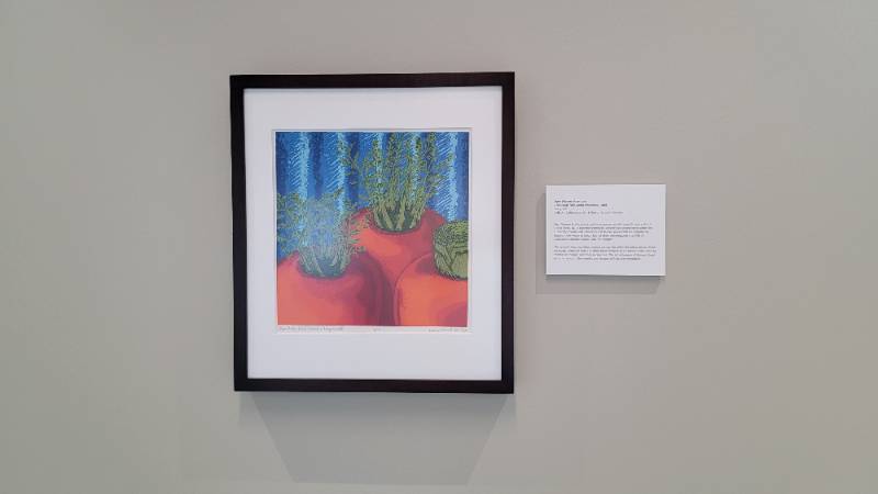 Chantenay Red Cored (Improved) Chantenay Red Cored (Improved)