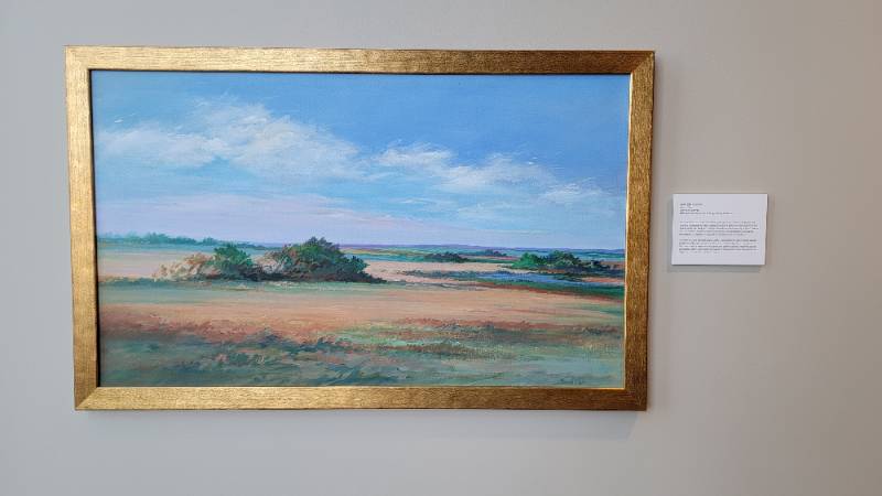 Mares Tales Mares Tales