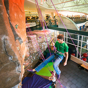 Rock Wall